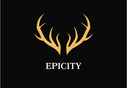 logo-epicity