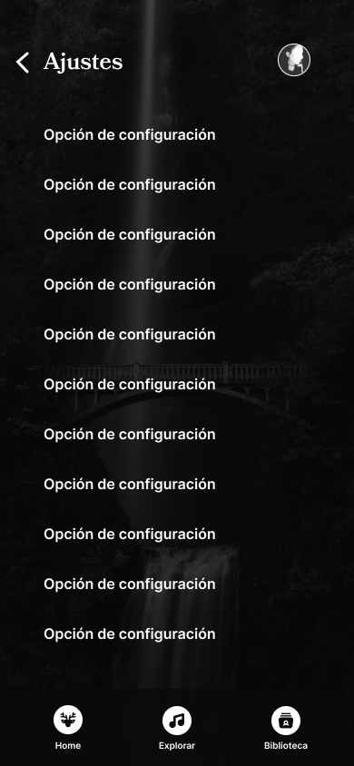 11 Ajustes