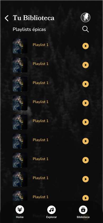 13 Biblioteca de playlist